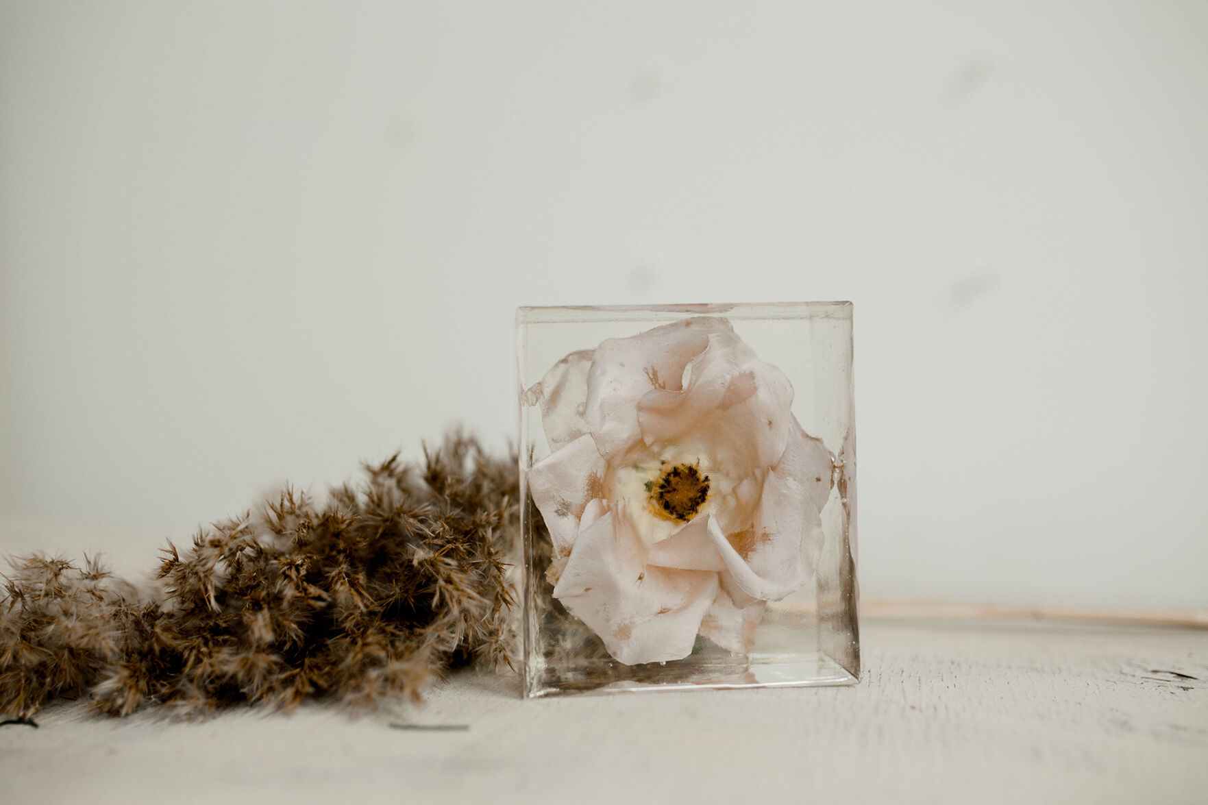EverInBloom_SingleFlower.jpg
